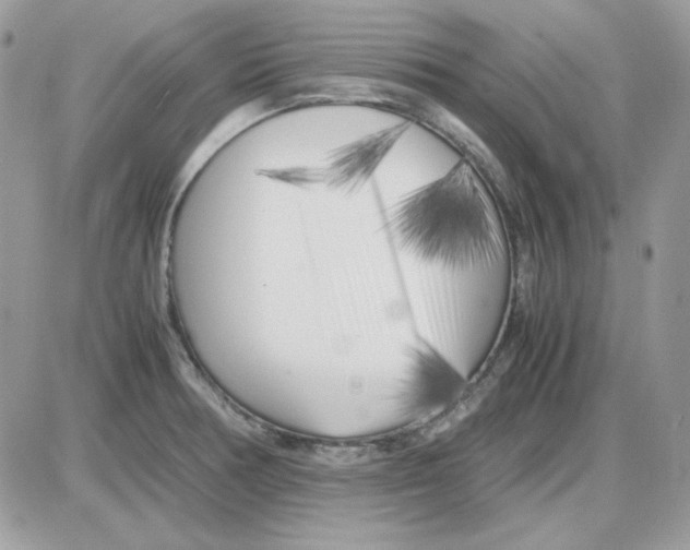 X0000085831378200704132026