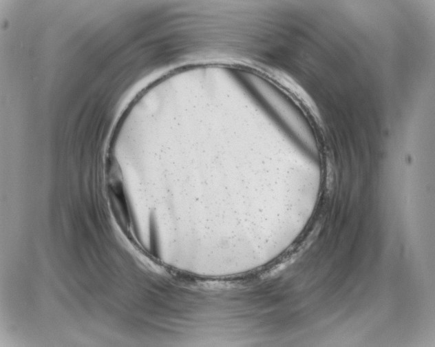 X0000085831380200704132026