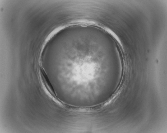 X0000085831381200704132026