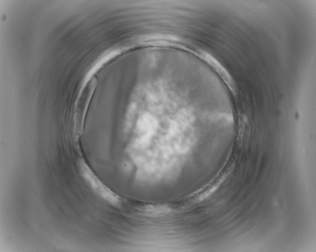 X0000085831384200704132026