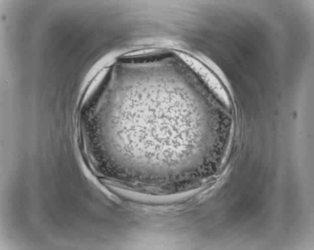 X0000085831389200704132026