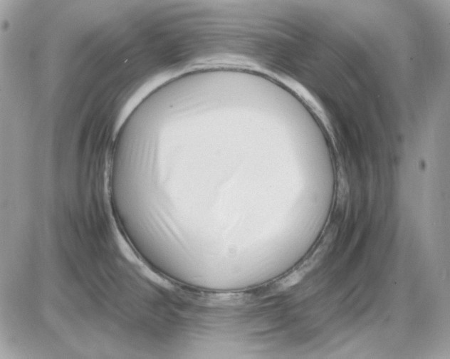 X0000085831390200704132026