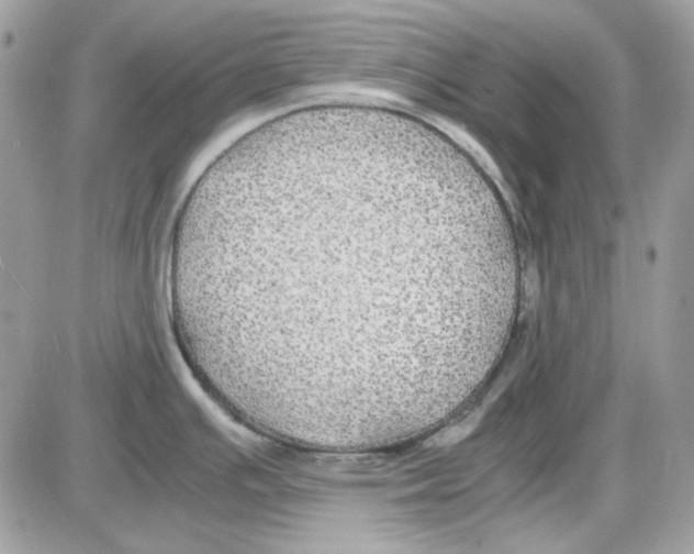 X0000085831391200704132026