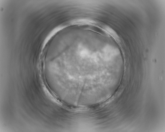 X0000085831392200704132026