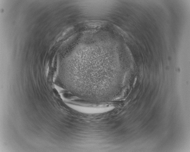 X0000085831394200704132025
