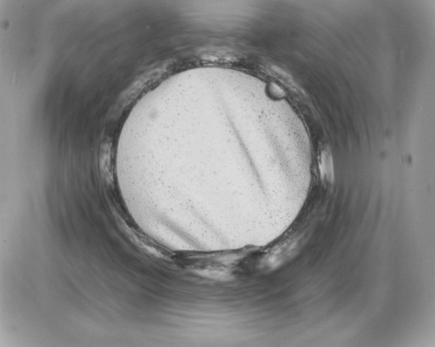 X0000085831396200704132025