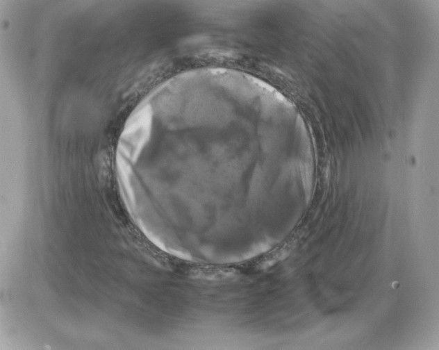 X0000085831397200704132026