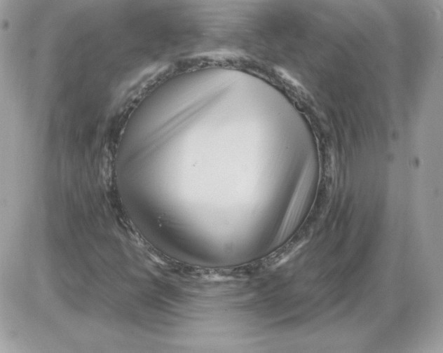 X0000085831398200704132026