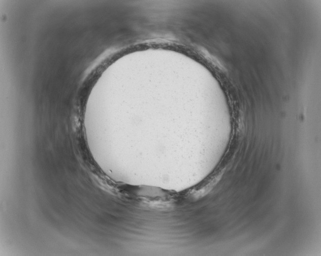 X0000085831400200704132026