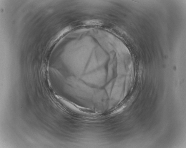 X0000085831401200704132026