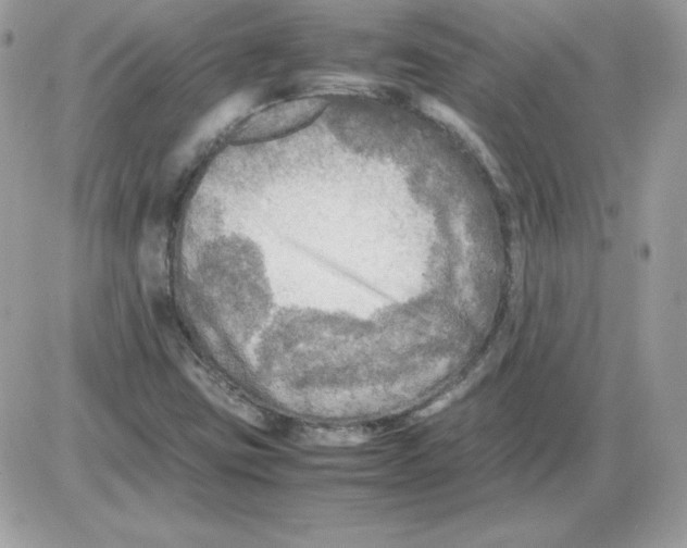X0000085831403200704132026