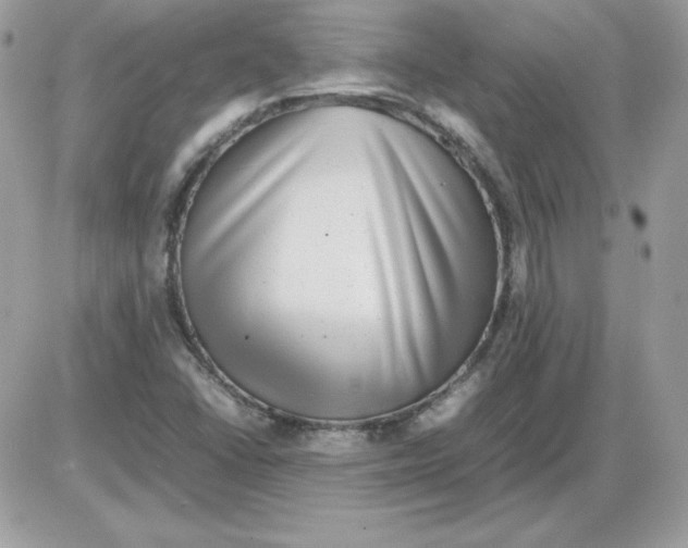 X0000085831406200704132026