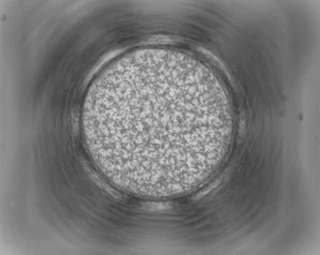 X0000085831409200704132026