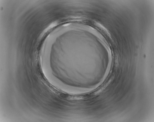 X0000085831411200704132026