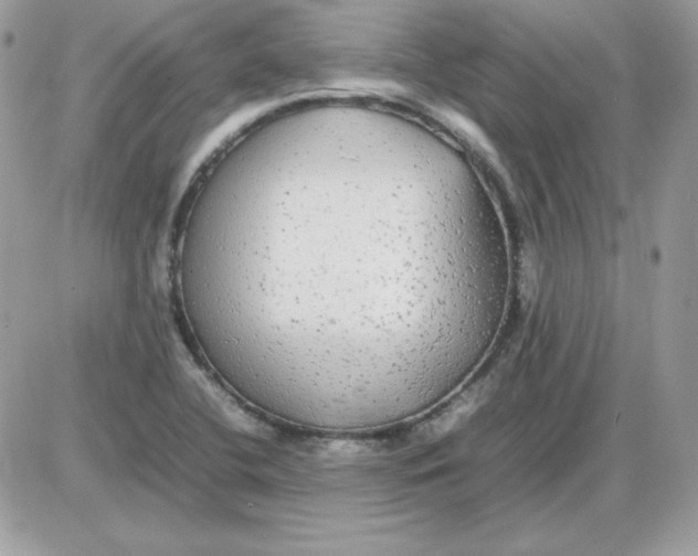 X0000085831412200704132026