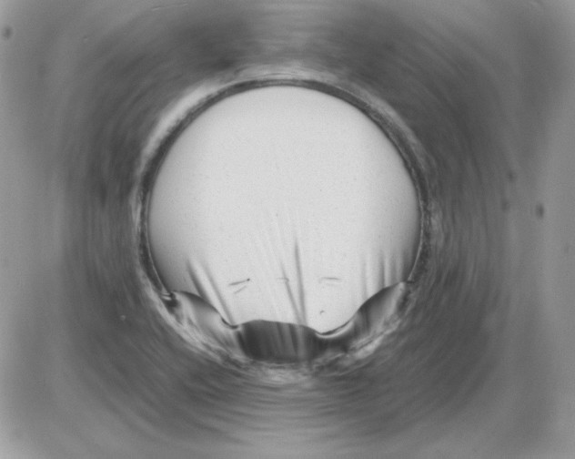X0000085831416200704132026