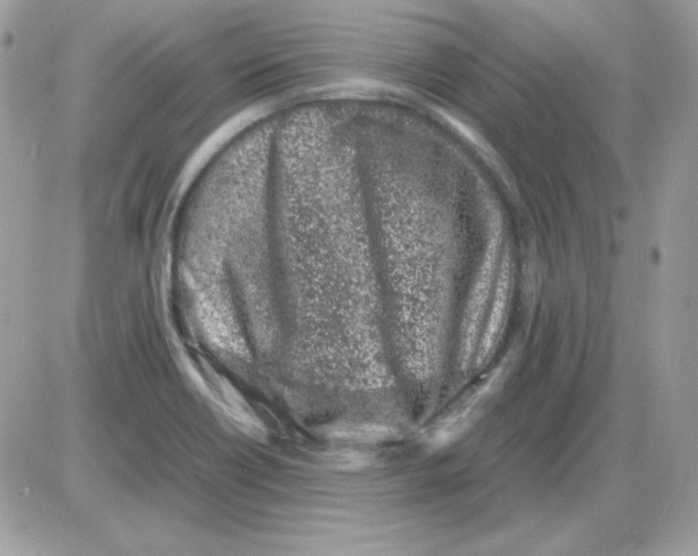 X0000085831418200704132026