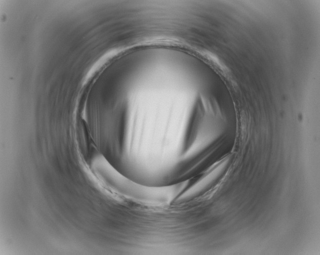X0000085831422200704132026