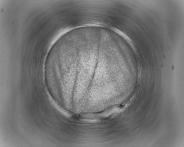 X0000085831423200704132026