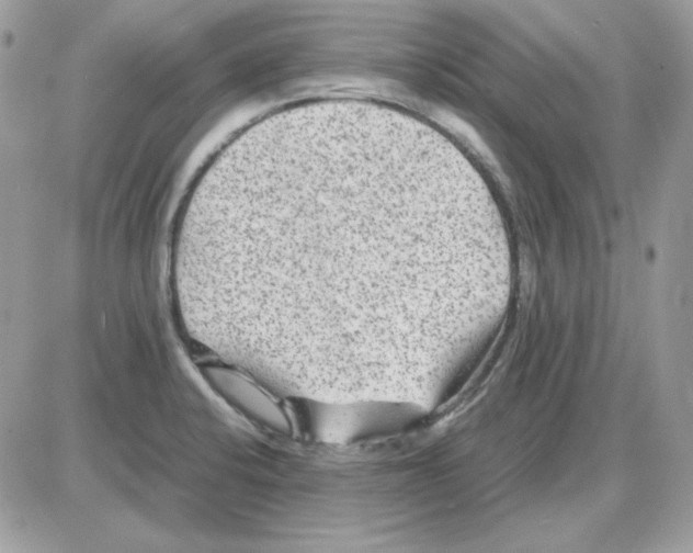 X0000085831424200704132026
