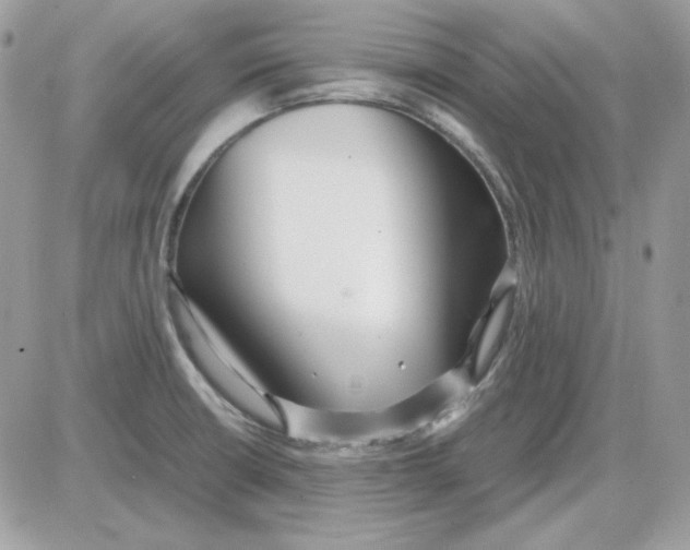X0000085831426200704132026
