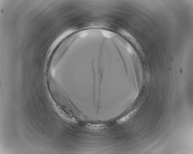X0000085831427200704132026