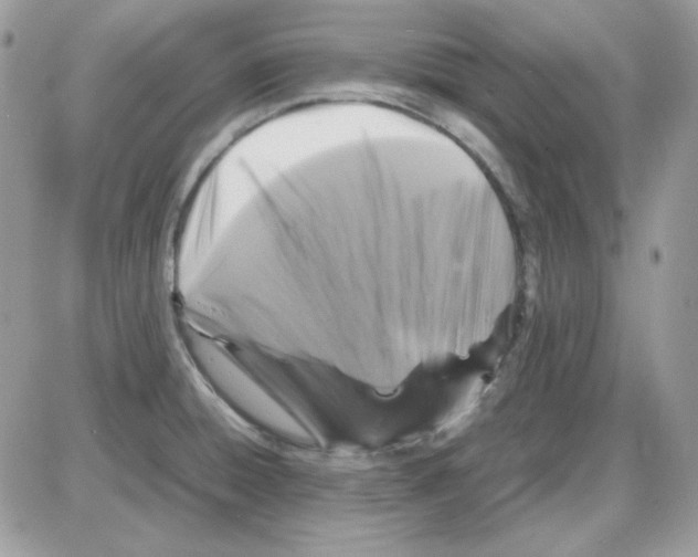 X0000085831428200704132026