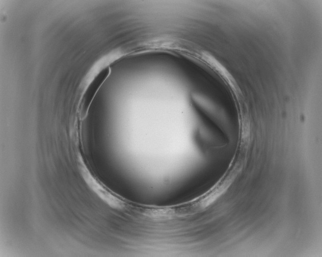 X0000085831434200704132026