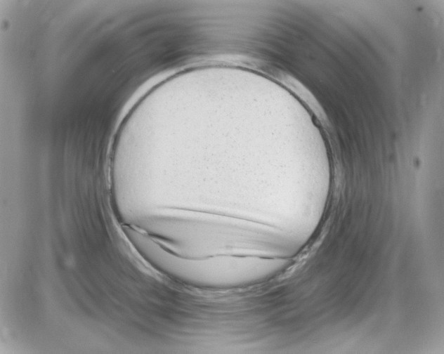 X0000085831436200704132026
