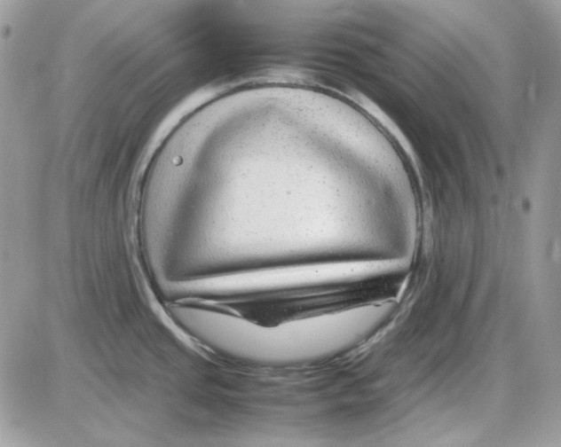 X0000085831437200704132026