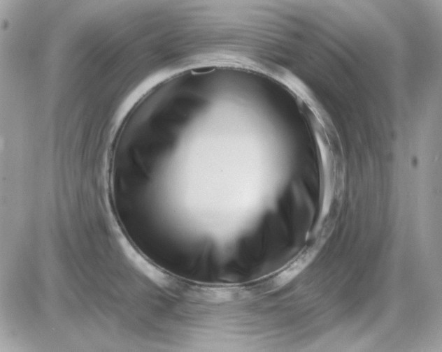 X0000085831438200704132026