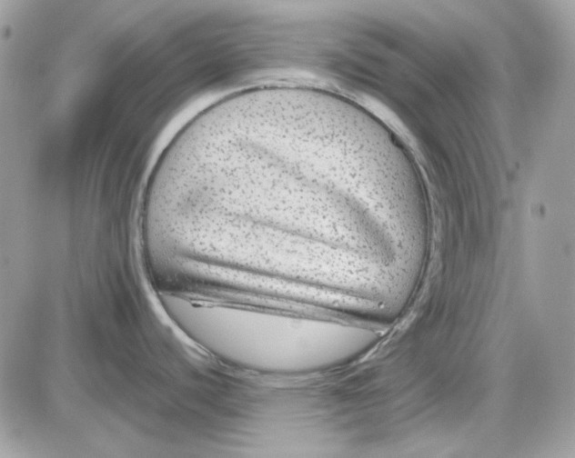 X0000085831440200704132026