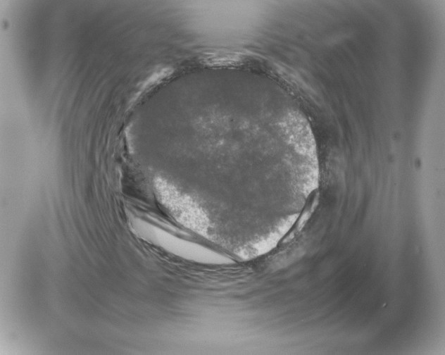 X0000085831441200704132025