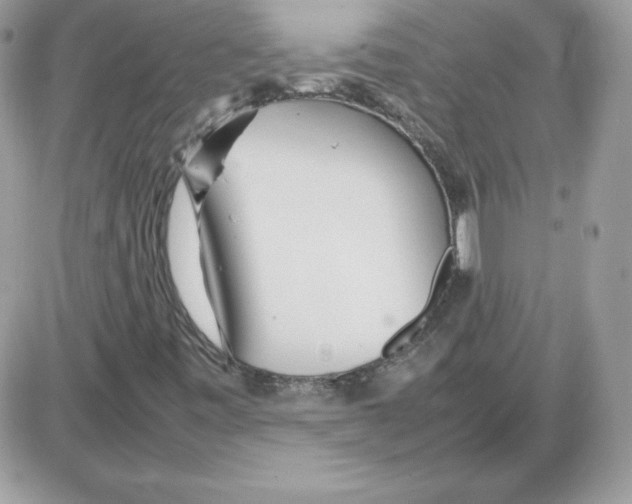 X0000085831443200704132025