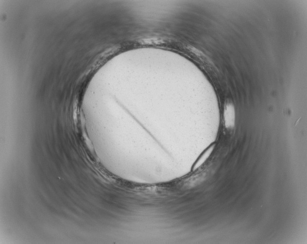 X0000085831444200704132025
