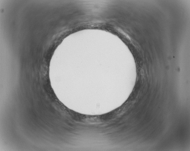 X0000085831447200704132025