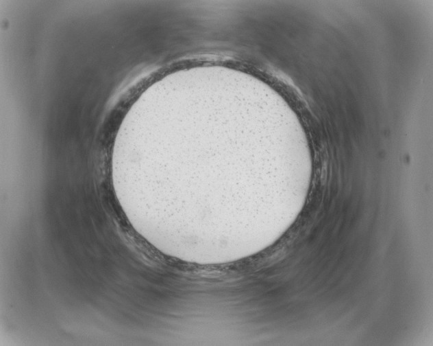 X0000085831448200704132025