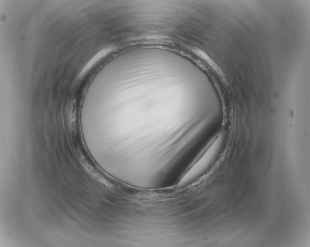 X0000085831450200704132025