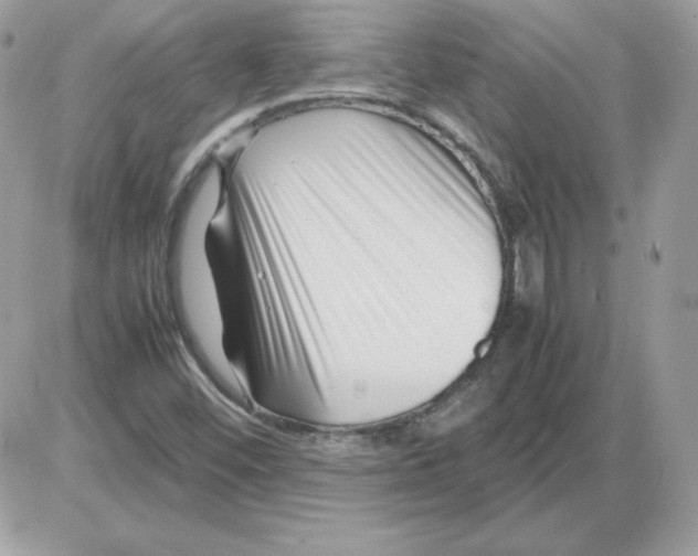X0000085831452200704132025