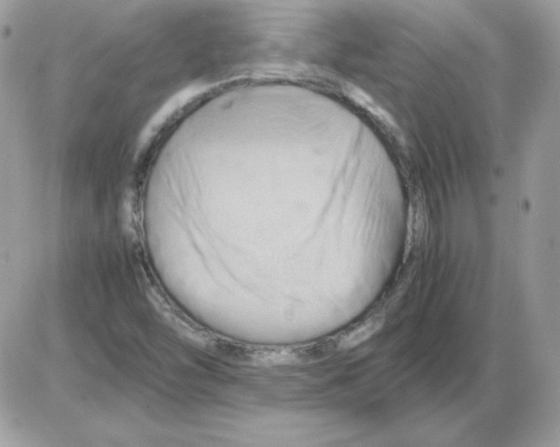 X0000085831454200704132025