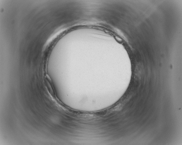 X0000085831456200704132025
