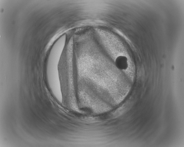 X0000085831459200704132025
