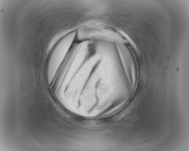 X0000085831461200704132025