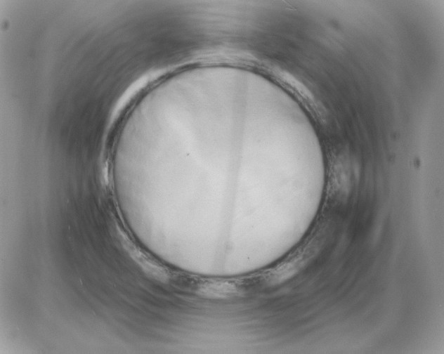 X0000085831462200704132025