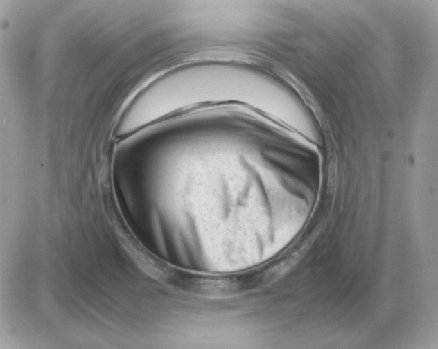X0000085831465200704132025