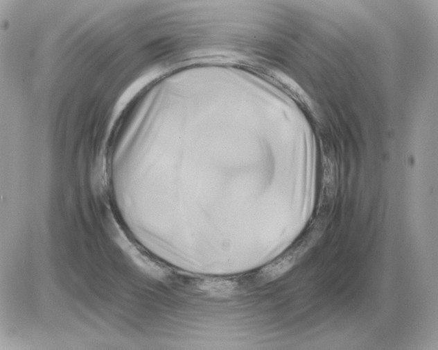 X0000085831466200704132025