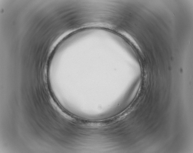 X0000085831468200704132025