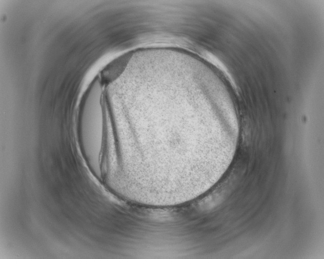 X0000085831472200704132025