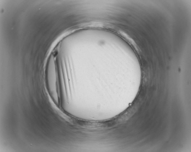 X0000085831475200704132025