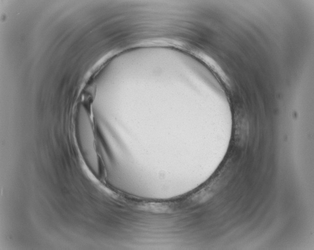 X0000085831476200704132025